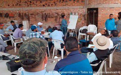 Las Escuelas de Campo en la Agroecología: Pilares de Aprendizaje y Sostenibilidad