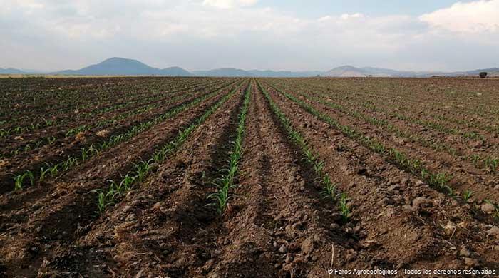 Faro agroecologico en el Estado de México