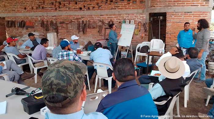 Las Escuelas de Campo en la Agroecología: Pilares de Aprendizaje y Sostenibilidad