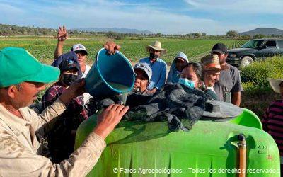 Raíces de Cambio: Faros Agroecológicos en la Evolución de la Agricultura Mexicana