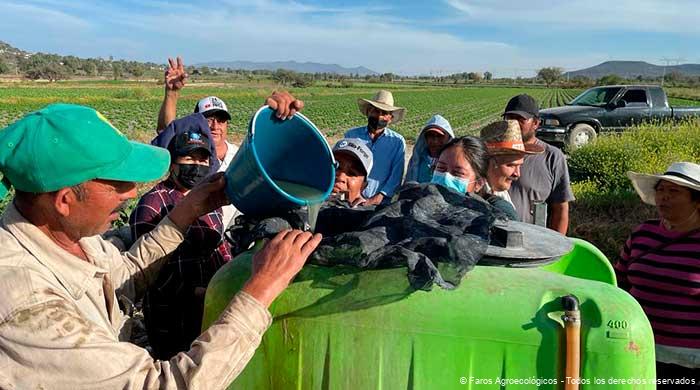 Raíces de Cambio: Faros Agroecológicos en la Evolución de la Agricultura Mexicana
