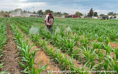 Comparación de Agroecología con la Agricultura Convencional: Impacto Ambiental y Sustentabilidad