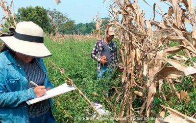La Transición Agroecológica: Un Proceso Paulatino que Requiere Tiempo y Paciencia