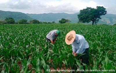 Desafíos y Consideraciones Futuras en el Contexto de Faros Agroecológicos