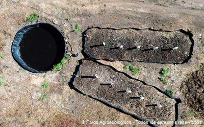 Lixiviado: Una Solución Integral para la Agricultura Agroecológica