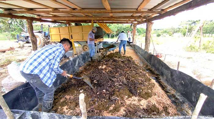 Preparación de Lixiviado.