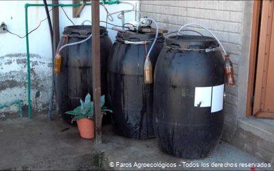 Microorganismos de Montaña: Clave para la Sustentabilidad en la Agroecología