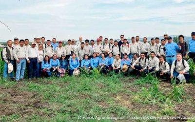 Los Faros Agroecológicos: Innovación, Educación y Acompañamiento Técnico en la Agricultura Sostenible
