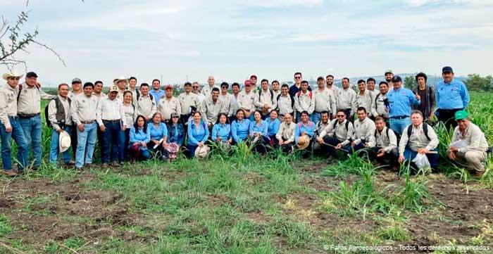 Los Faros Agroecológicos: Innovación, Educación y Acompañamiento Técnico en la Agricultura Sostenible