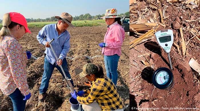 Técnicos en agroecología realizando evaluación Inicial del suelo en Faro Agroecológico.