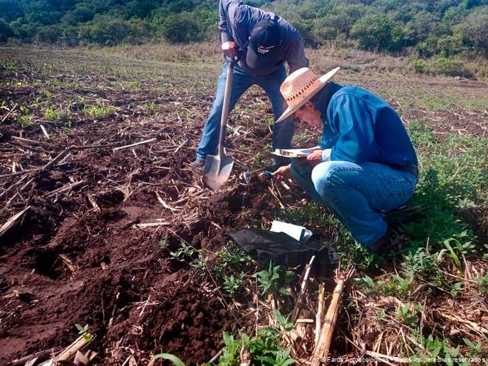 Evaluación Inicial del Suelo en los Faros agroecológico.