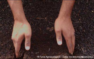 Composta en la Agroecología: Clave para Suelos Saludables y Sostenibles