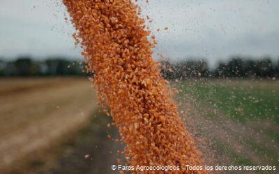 Agroecología y ODS: Cómo Contribuye a la Seguridad Alimentaria y la Sostenibilidad Ambiental
