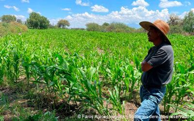 Agroecología y ODS: Promoviendo Consumo Responsable y Desarrollo Económico Sostenible