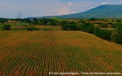 15 Prácticas agroecológicas sostenibles en México