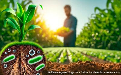 Fijadores de nitrógeno y su impacto en la fertilidad del suelo