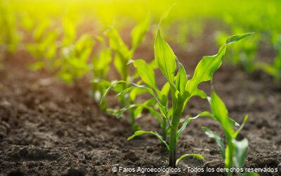 Importancia de la Biodiversidad en los Agroecosistemas