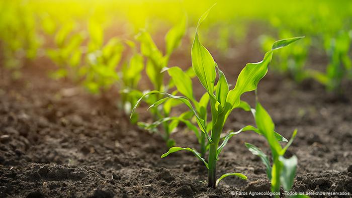 Importancia de la Biodiversidad en los Agroecosistemas