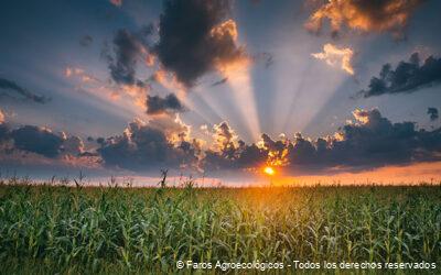 Pioneros de la Agroecología: Inspiración Indígena Mexicana