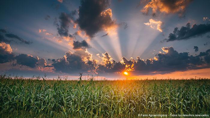 Pioneros de la Agroecología: Inspiración Indígena Mexicana