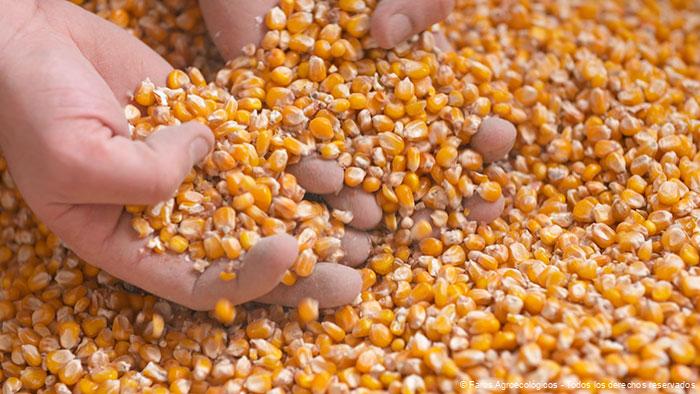 La Agroecología en la Seguridad Alimentaria y la Nutrición