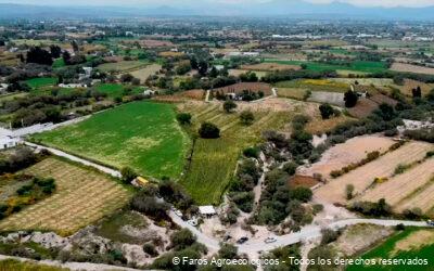 Faro Agroecológico Hidalgo Transformando la Agricultura mediante Prácticas Agrícolas Sostenibles