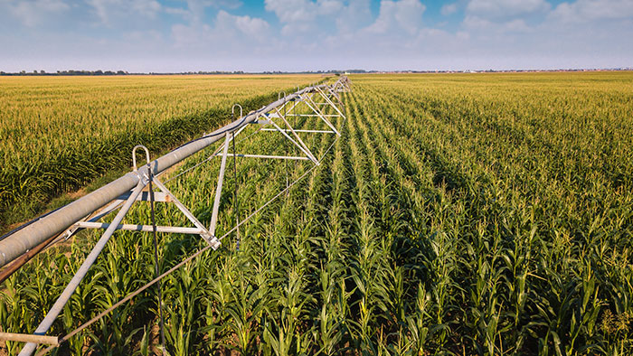 La Estrategia de Agua: Pilar Fundamental en la Agroecología