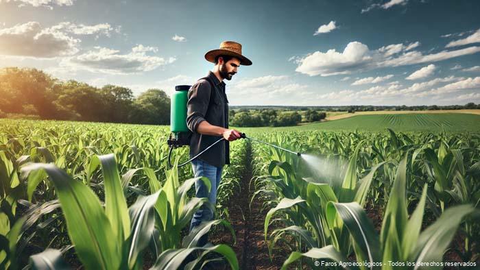 Cómo aplicar y almacenar agua de vidrio para máxima eficacia