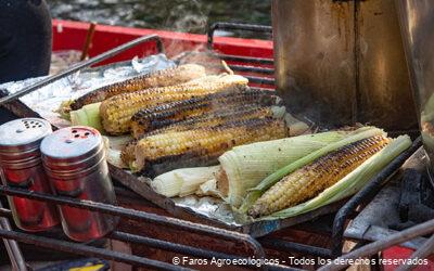 Agroecología en la mesa mexicana y sus beneficios