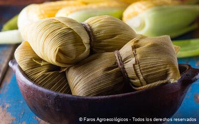 Agroecología en la mesa mexicana es un cambio necesario