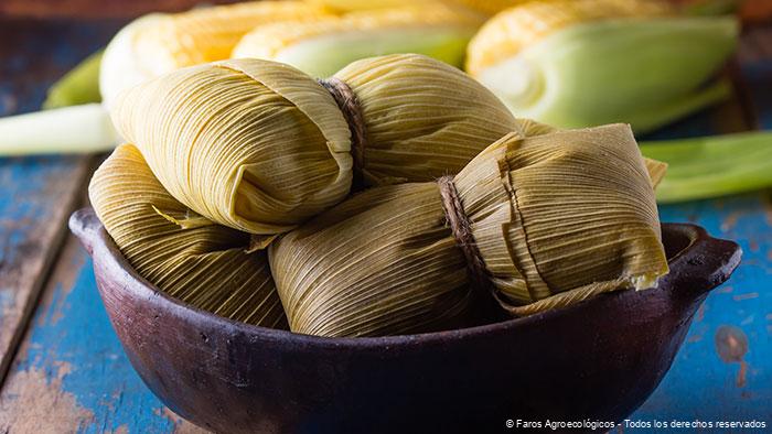 tamales en mesa mexicana