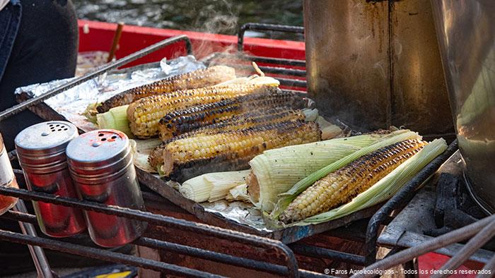 Agroecología en la mesa mexicana y sus beneficios