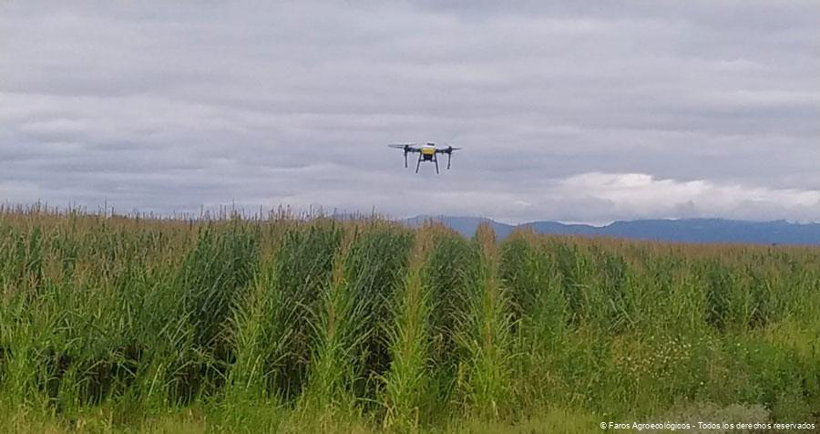 Aplicación-de-Inductores-de-resistencia-y-polisulfuro de Potasio Aplicacion de Inductores de resistencia y polisulfuro de Potasio.