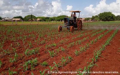 Glifosato fuera, experiencias de los Faros Agroecológicos