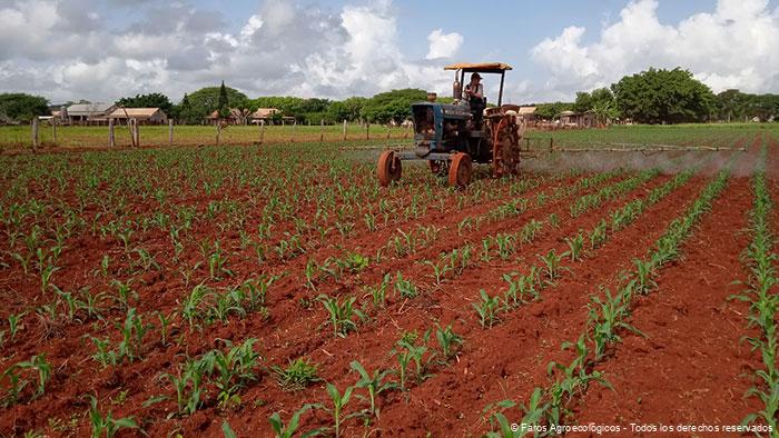 Glifosato fuera, experiencias de los Faros Agroecológicos