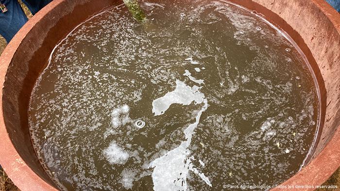 Preparación de dosis de Bacillus thuringiensis var. aizawai y kurstaki3