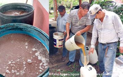 Biol – Un abono orgánico para potenciar tus cultivos