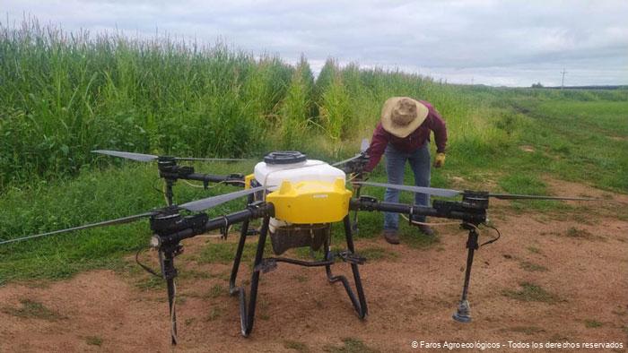 Aplicación de inductores de resistencia con drone en maíz en Faros Agroecológico