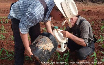 Trampas de Feromonas, una solución agroecológica