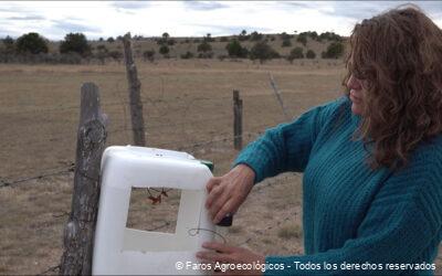 Ventajas de las trampas de feromonas en la agricultura sostenible