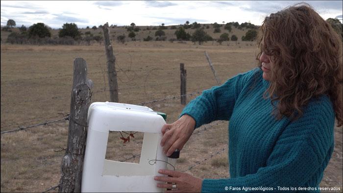 Trampas-de-feromona-(1) Trampas de feromonas