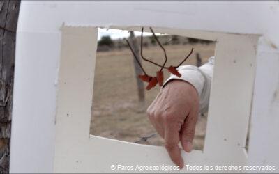 Trampas de Feromonas, una solución agroecológica