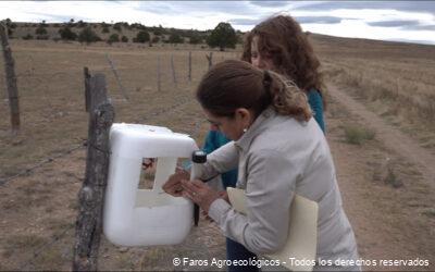 Guía práctica para la elaboración de trampas de feromonas